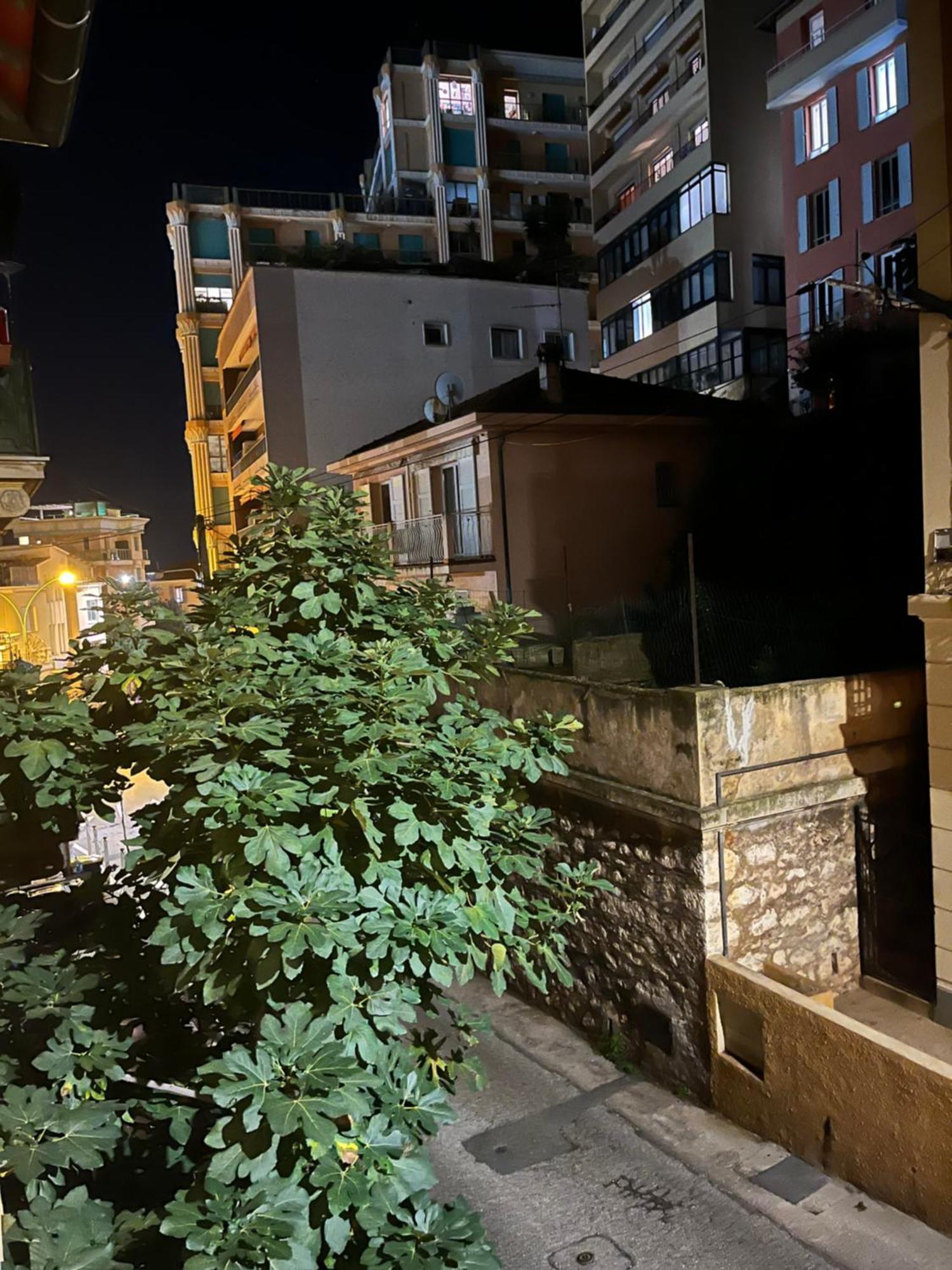 Duplex A La Frontiere De Monaco Daire Beausoleil Dış mekan fotoğraf